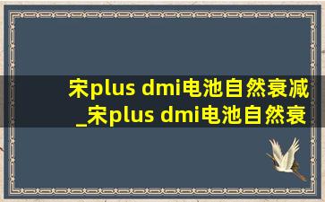 宋plus dmi电池自然衰减_宋plus dmi电池自然衰减度